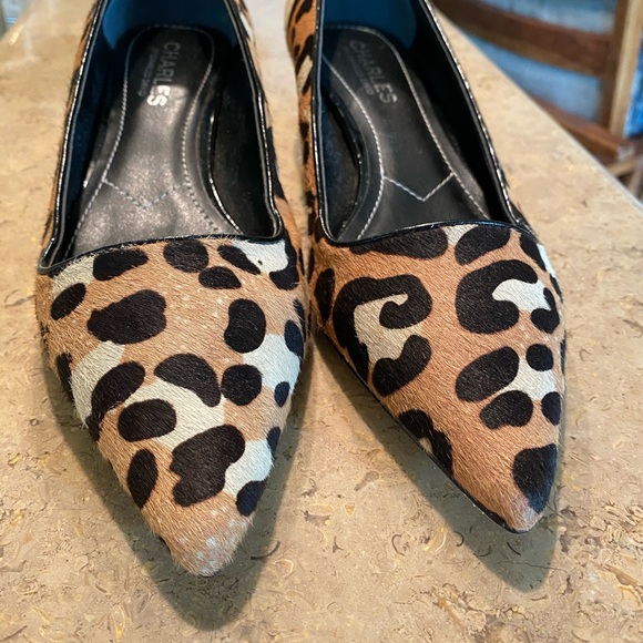 David Charles Heels - Picture 7 of 7